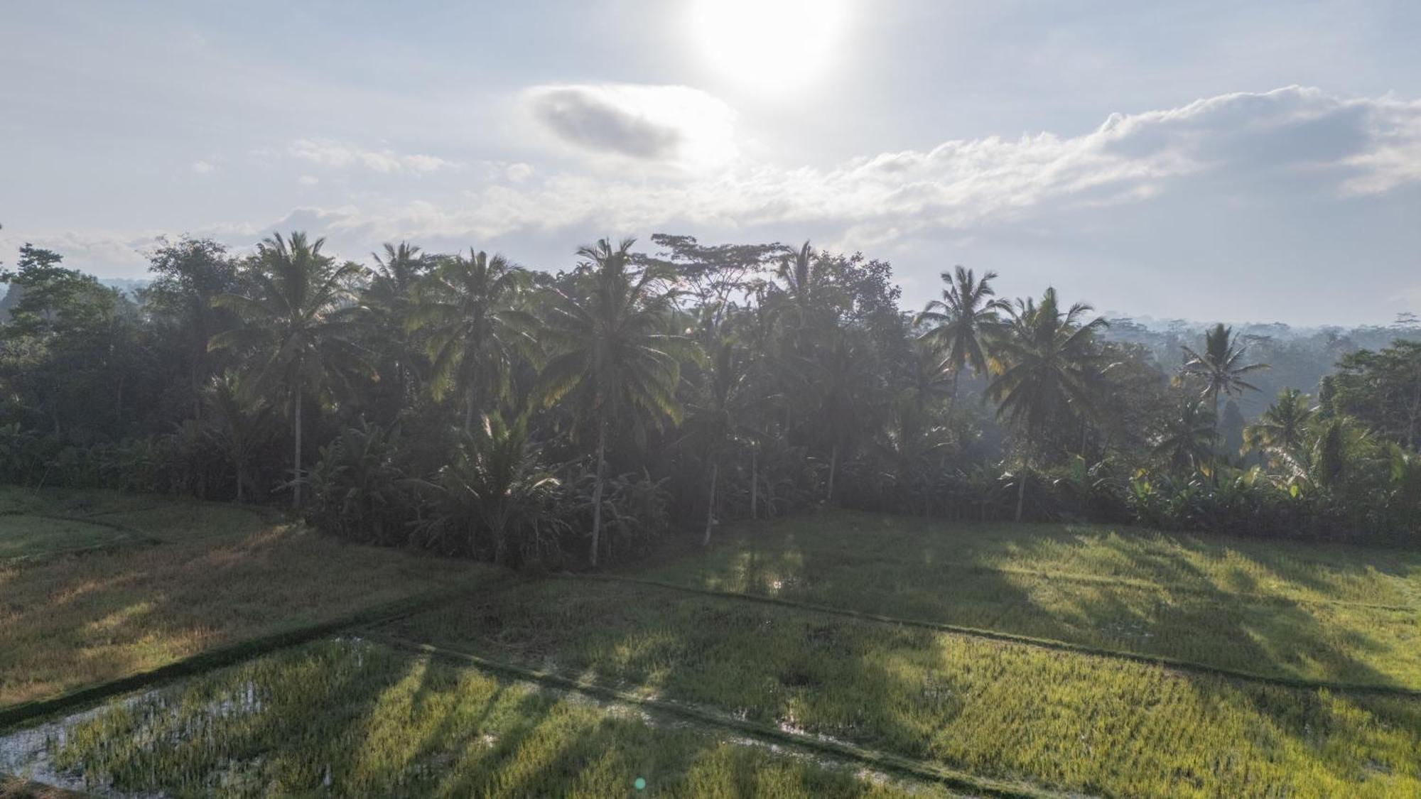 विला Aditara Sebatu *