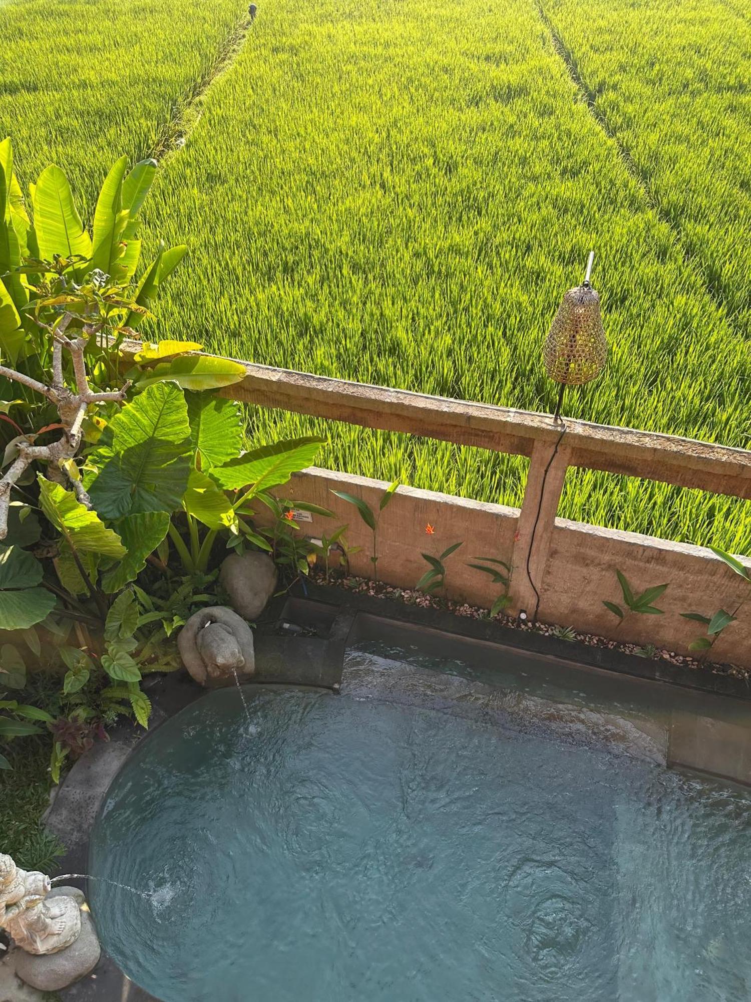 Aditara Sebatu *