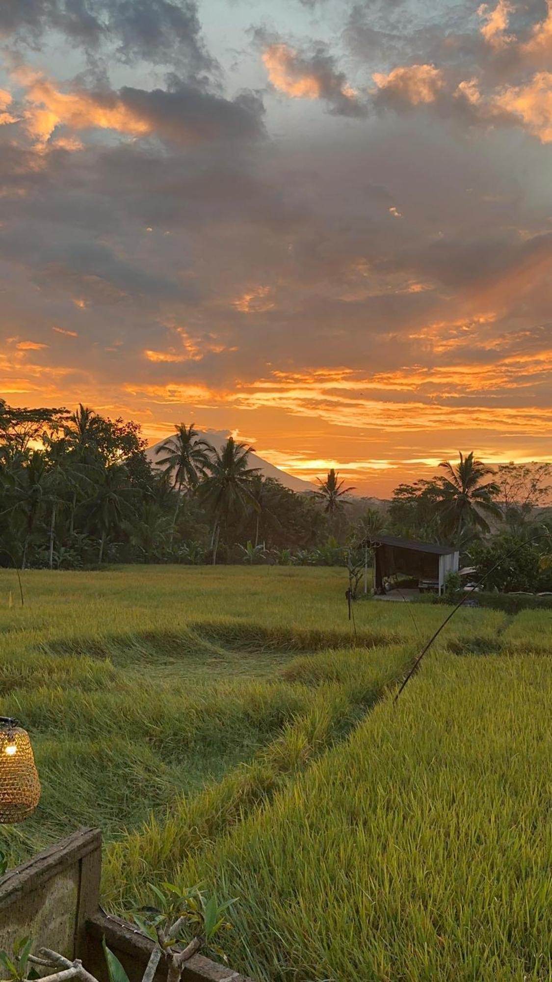 Aditara Sebatu विला *